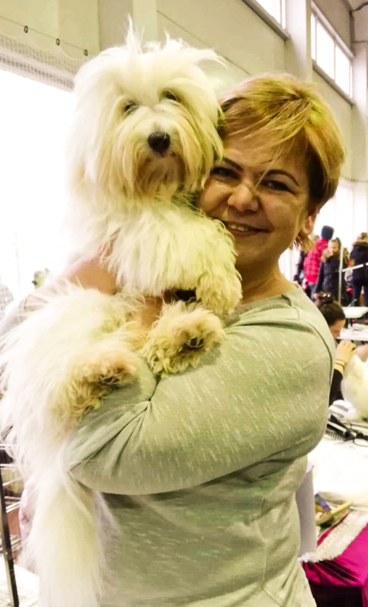 Coton De Tulear