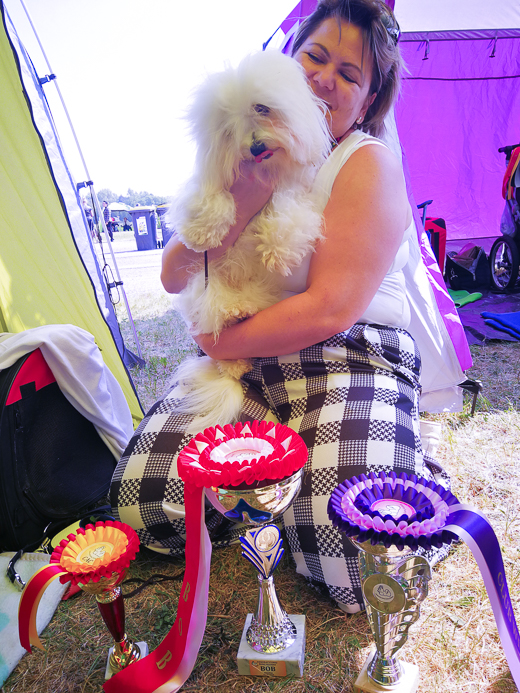 Coton De Tulear